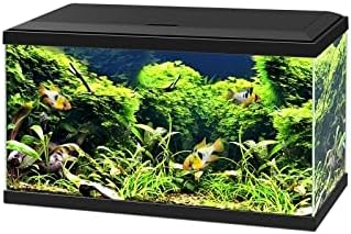 CYAN AQUA 60 LED BLACK without heater