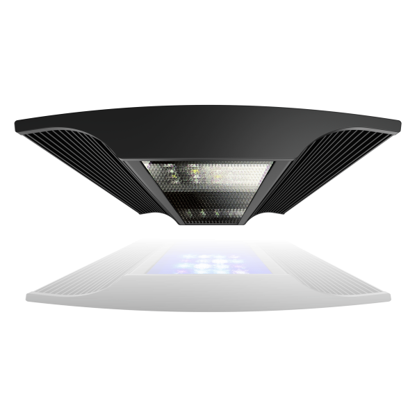VERVVE PRO MARINE 160W IRRIDIUM GIESEMANN