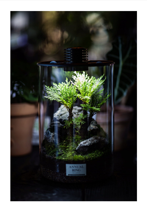 BIO BOTTLE ZD 200 