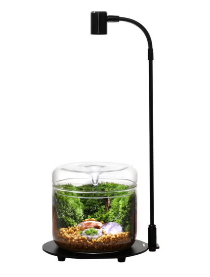 LAMPADA WABI-KUSA DX03 BIOLOARK