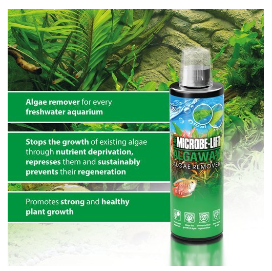 ALGAWAY 118ml MICROBE-LIFT