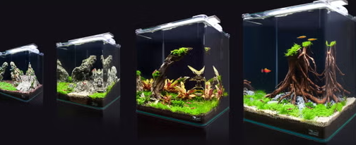 KUBUS 44 ESSENTIAL AQUATLANTIS