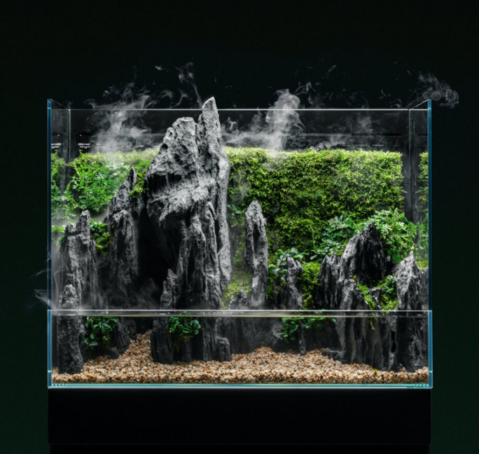 FORESTA PALUDARIUM 35E - SENZA SCATOLA ORIGINALE