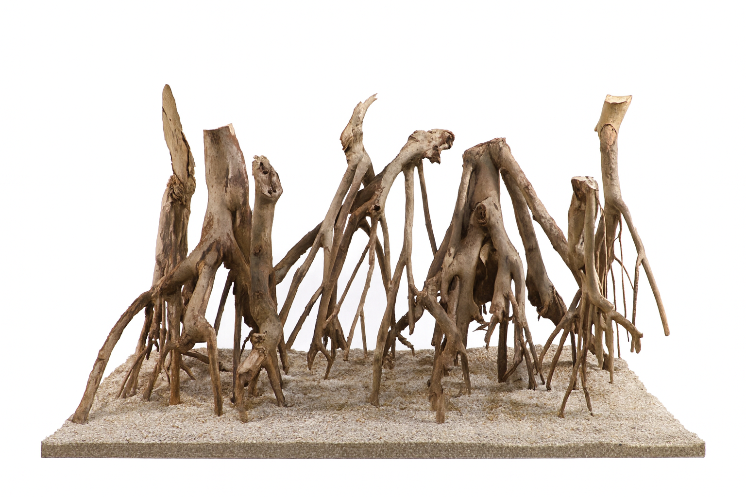 TALAWA WOOD