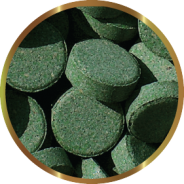 PLECOTABS 60g SHG
