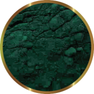 SPIRULINA IN POLVERE 25g SHG