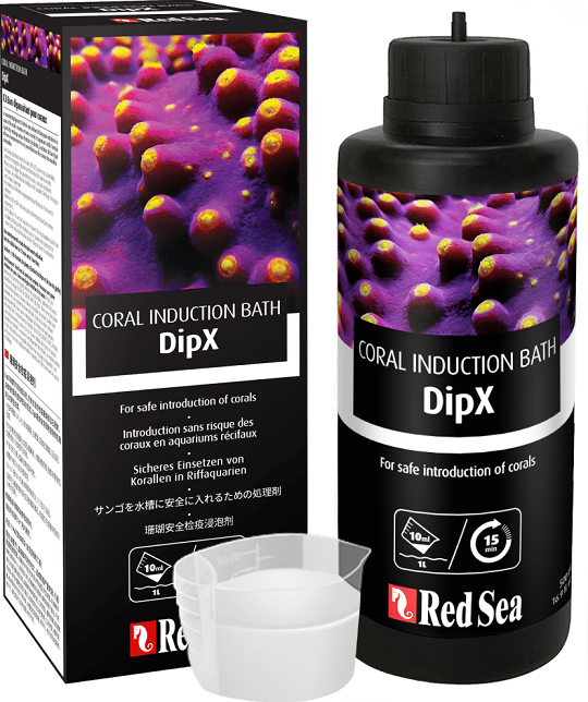 DIPX 500ml