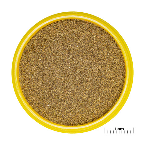 JBL PRONOVO NEON GRANO XXS 100ML JBL