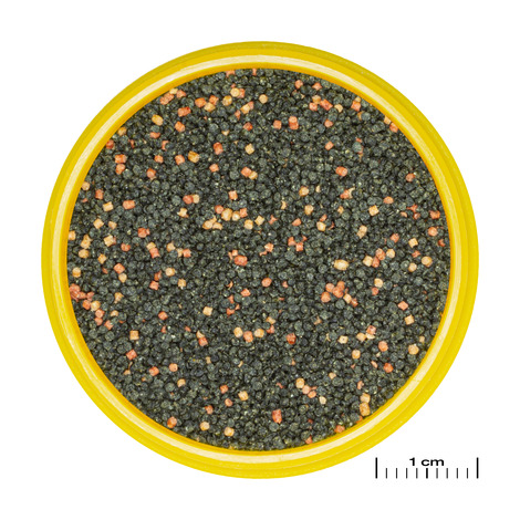 PRONOVO GUPPY GRANO S 250ML