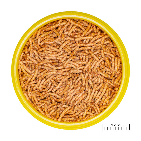PRONOVO BETTA INSECT 100ML  S STICK S JBL
