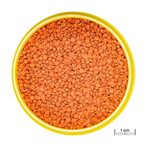 PRONOVO BITS GRANO M 250ML JBL