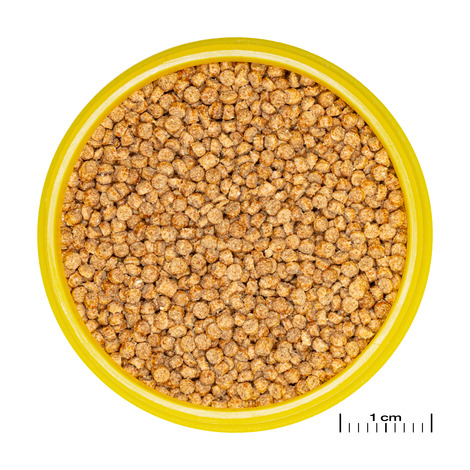 PRONOVO CICHLID GRANO S 100ML JBL