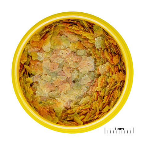 PRONOVO BETTA FLAKES S 100ML JBL