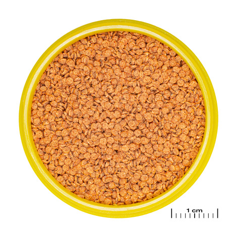 JBL PRONOVO BETTA GRANO S 20ML JBL
