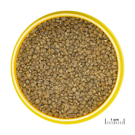 PRONOVO GOURAMI GRANO S 250ML
