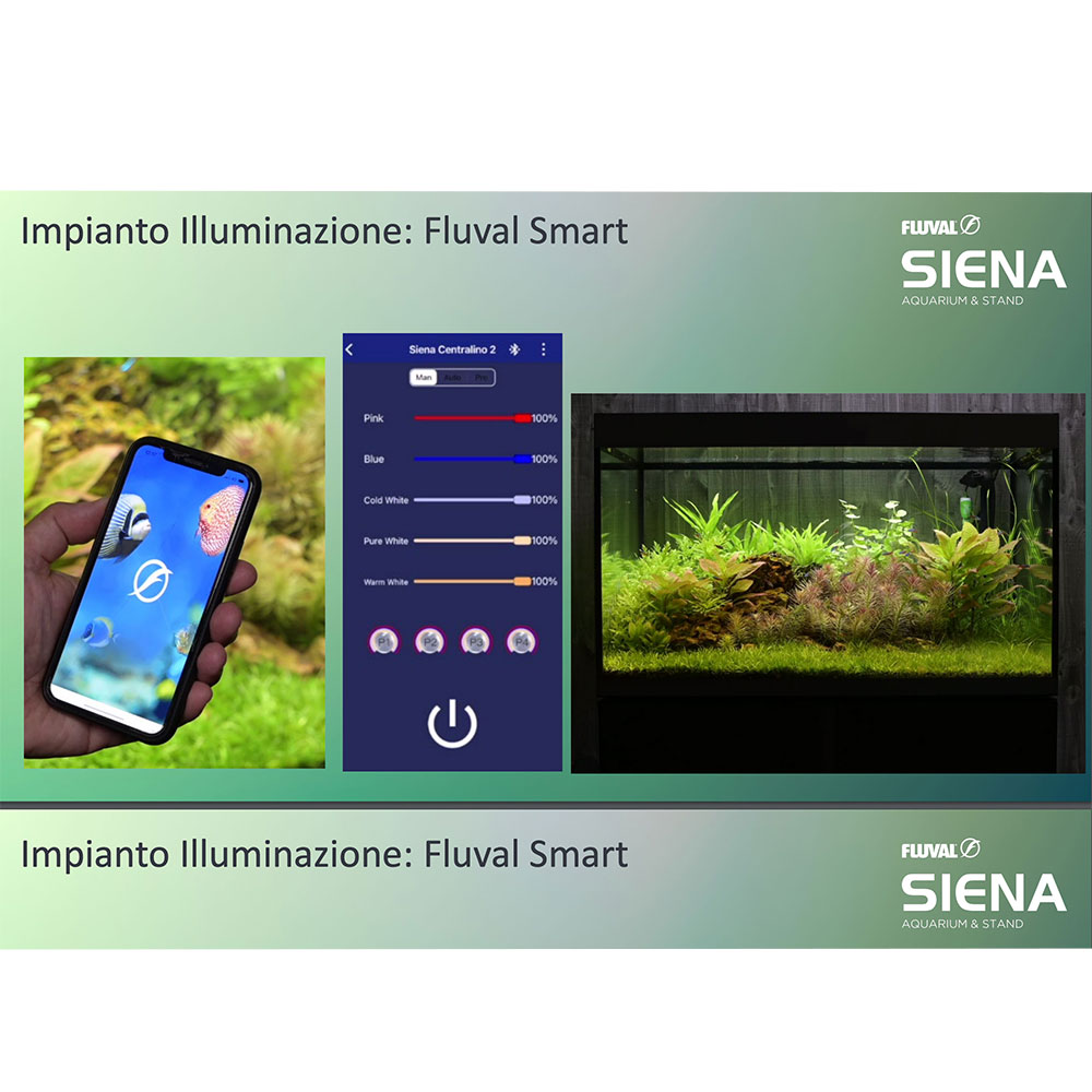 ASKOLL FLUVAL SIENA 270 COMPLETO Con supporto ASKOLL