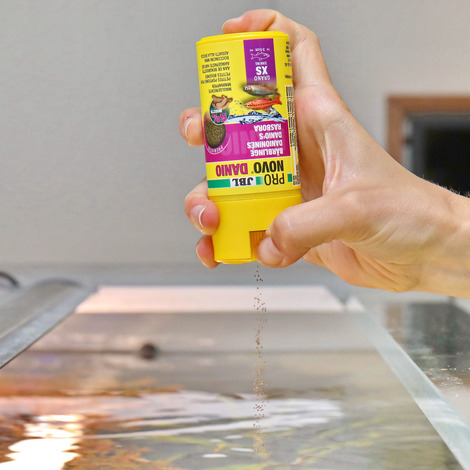 PRONOVO DANIO GRANO XS 100ML 