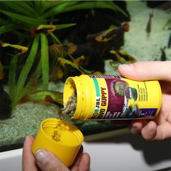 PRONOVO GUPPY FLAKES S 250ml JBL
