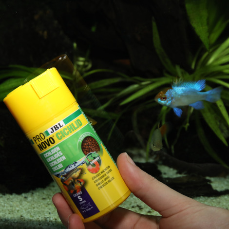 PRONOVO CICHLID GRANO S 100ML JBL