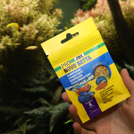 PRONOVO BETTA FLAKES S 100ML JBL