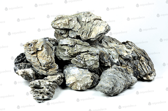 SERYU STONE TROPICALNATURE