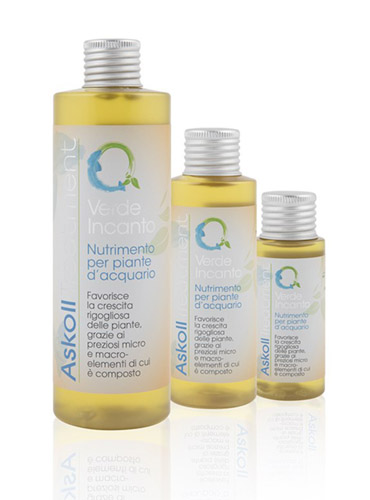 VERDE INCANTO 270ml