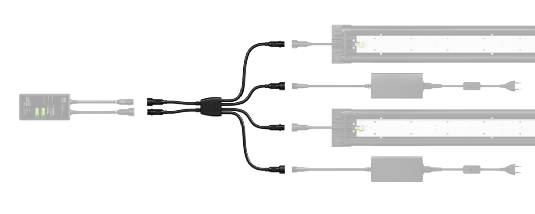 JUWEL SPLITTER SPECTRUM (4Ch) JUWEL