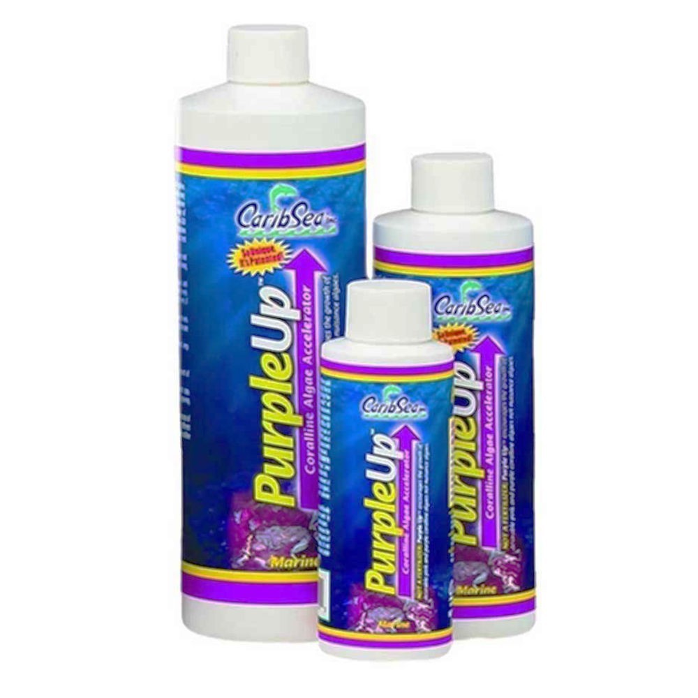 PURPLE UP 473ml
