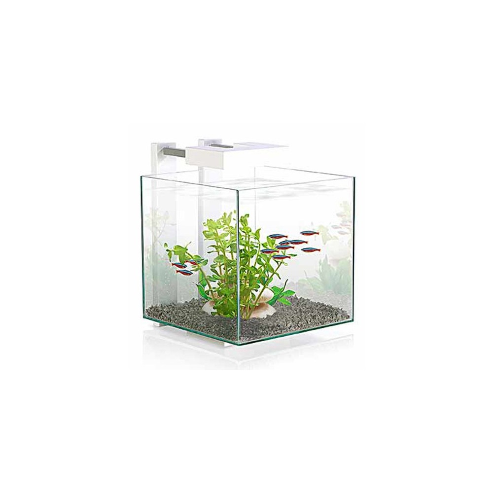 CIANO NEXUS PURE CUBE 14L BIANCO