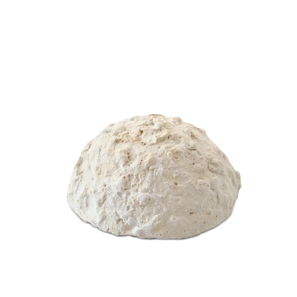 HOLIDAY FOOD 20g