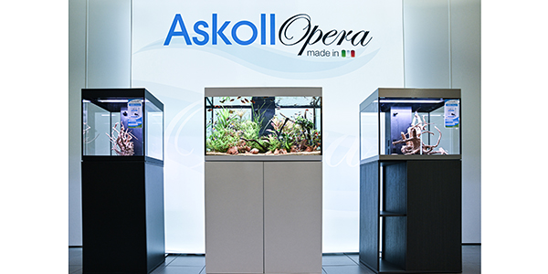 ASKOLL OPERA 80 STEEL