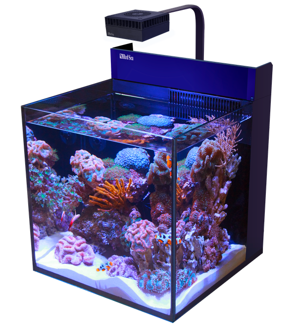 MAX NANO CUBE G2