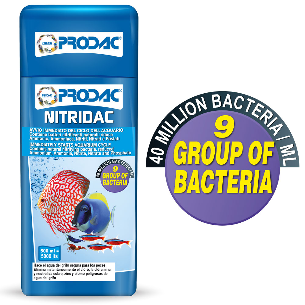 NITRIDAC 250ml