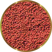 PREMIUM HI RED 50g SHG